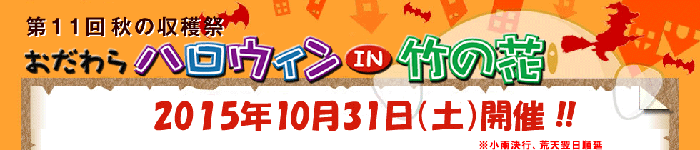 11H̎n nEBIn|̉2015N1031iy) J